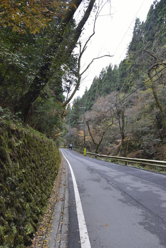 2012kuramaderakifune228