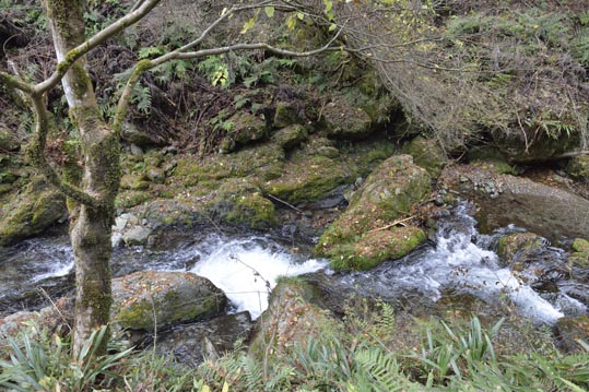 2012kuramaderakifune232