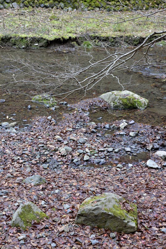 2012kuramaderakifune237