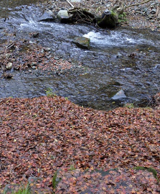 2012kuramaderakifune238