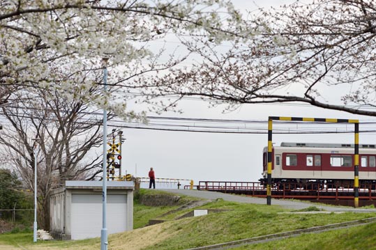 2013nagaikouennosakura068