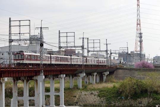 2013nagaikouennosakura073