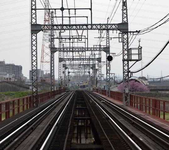 2013nagaikouennosakura074