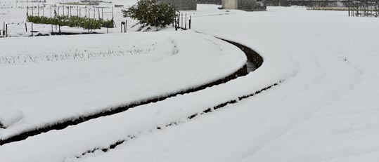 2014yukinoosakajyo002