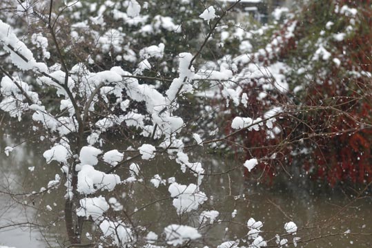 2014yukinoosakajyo006