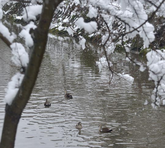 2014yukinoosakajyo008