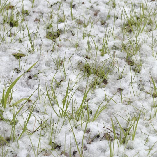 2014yukinoosakajyo015