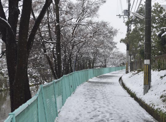 2014yukinoosakajyo016