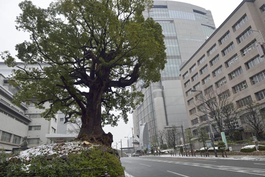 2014yukinoosakajyo019