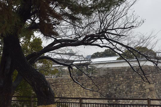 2014yukinoosakajyo026