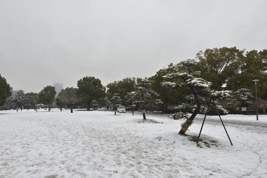 2014yukinoosakajyo029