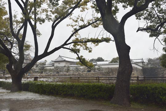 2014yukinoosakajyo037