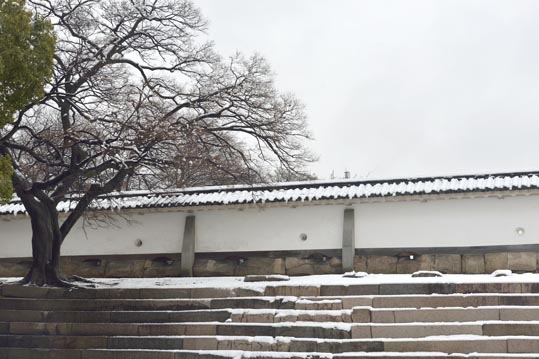 2014yukinoosakajyo049