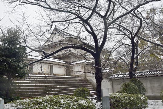 2014yukinoosakajyo058