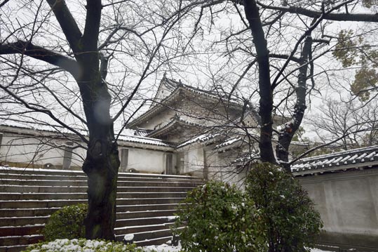 2014yukinoosakajyo061