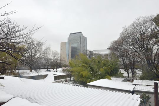 2014yukinoosakajyo073