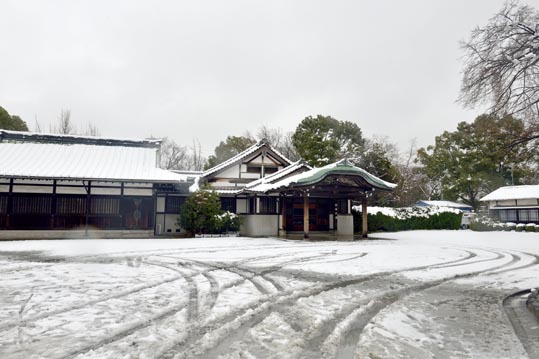 2014yukinoosakajyo083