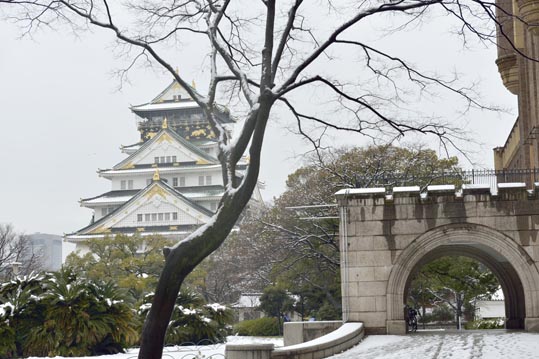 2014yukinoosakajyo112