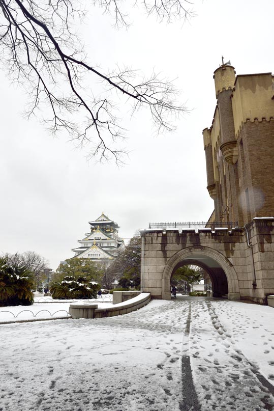 2014yukinoosakajyo121