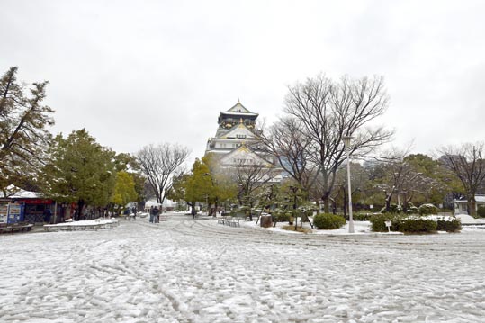 2014yukinoosakajyo132