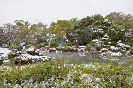 2014yukinoosakajyo135