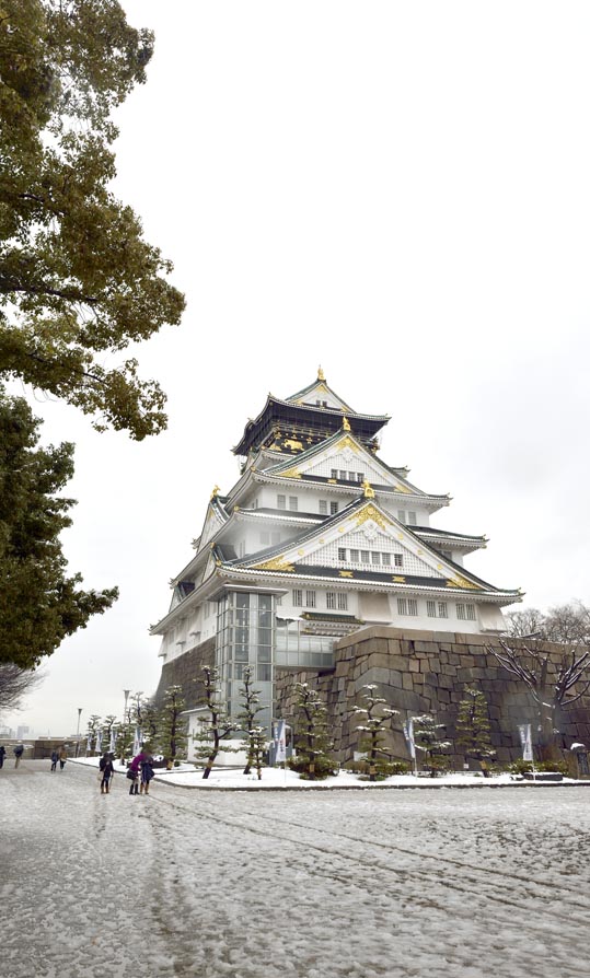 2014yukinoosakajyo142