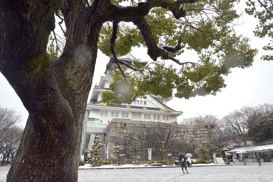 2014yukinoosakajyo146