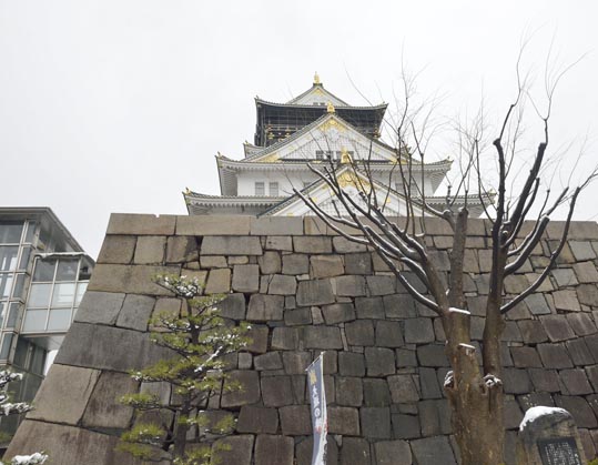 2014yukinoosakajyo163