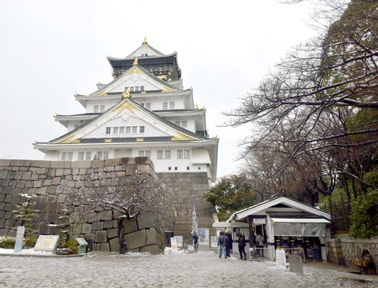 2014yukinoosakajyo165