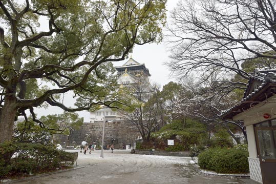 2014yukinoosakajyo166