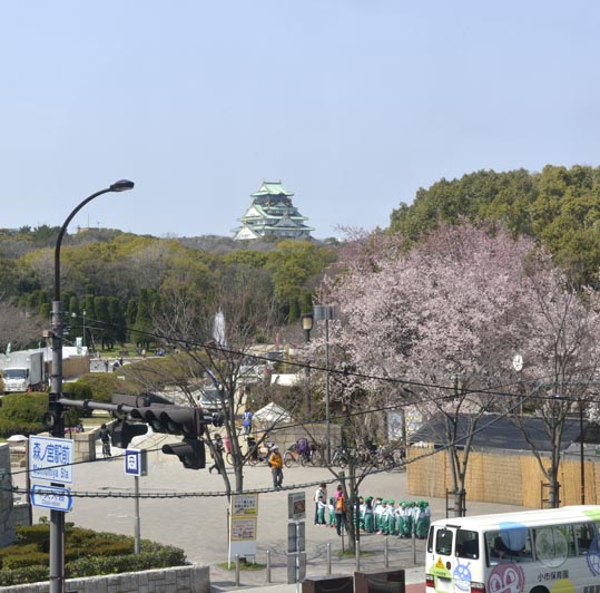 2014jyounanguusidareume021