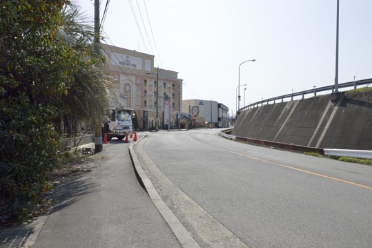 2014jyounanguusidareume027