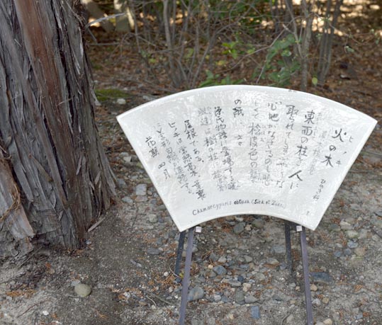 2014jyounanguusidareume032