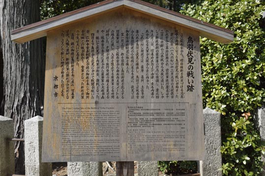 2014jyounanguusidareume033