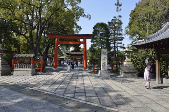 2014jyounanguusidareume036