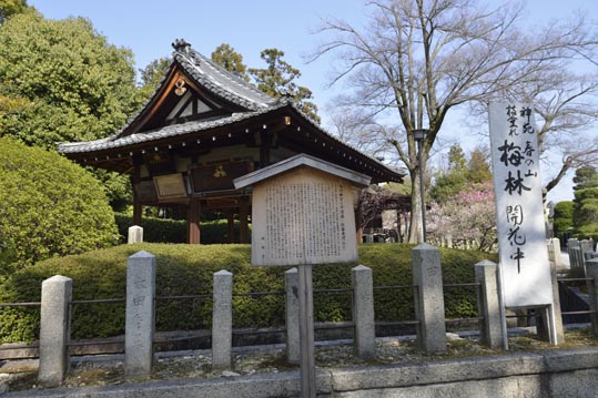 2014jyounanguusidareume037