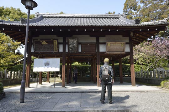 2014jyounanguusidareume039