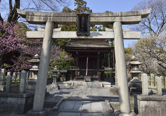 2014jyounanguusidareume040