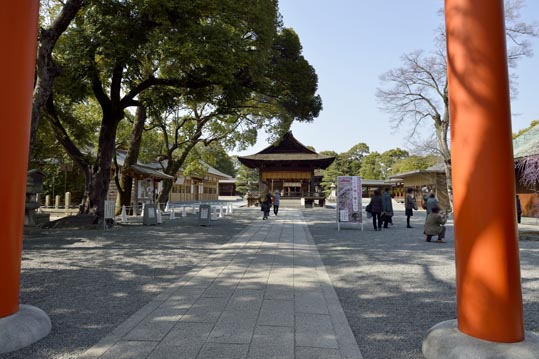 2014jyounanguusidareume055