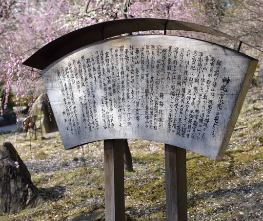 2014jyounanguusidareume072