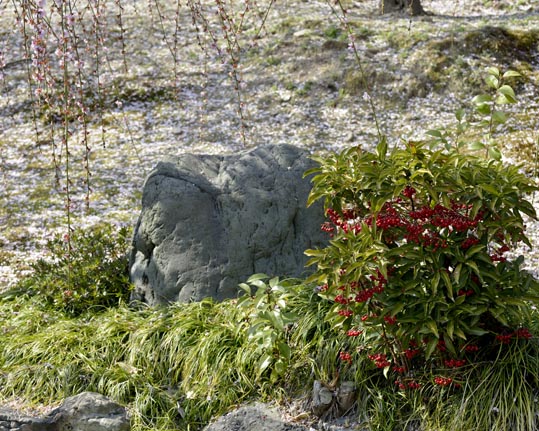 2014jyounanguusidareume092