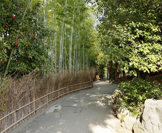 2014jyounanguusidareume164