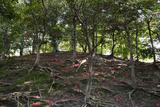 2014jyounanguusidareume179