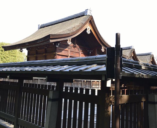 2014jyounanguusidareume182