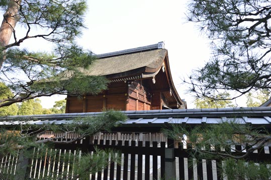 2014jyounanguusidareume183