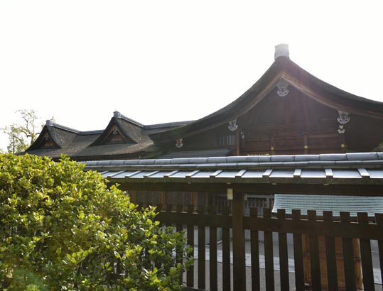 2014jyounanguusidareume197