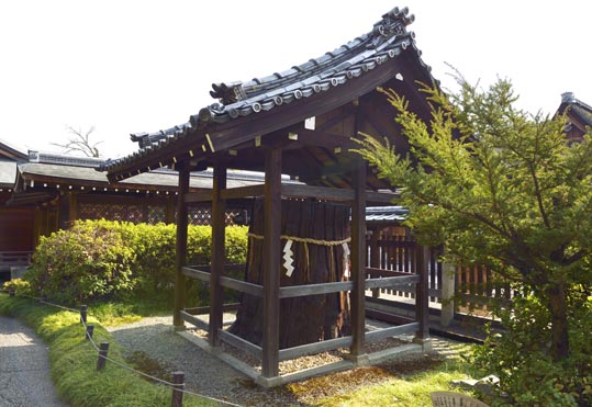 2014jyounanguusidareume198