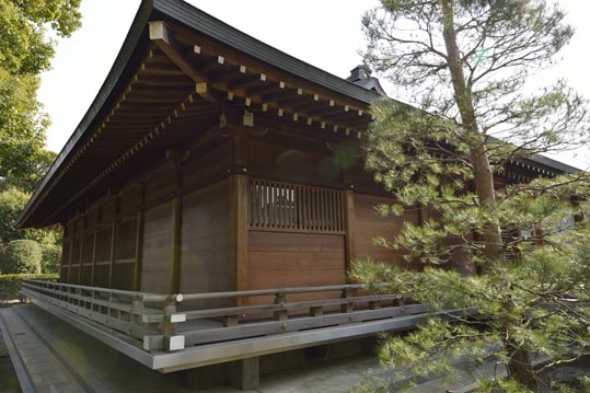 2014jyounanguusidareume200