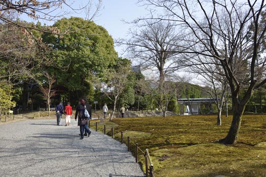 2014jyounanguusidareume207