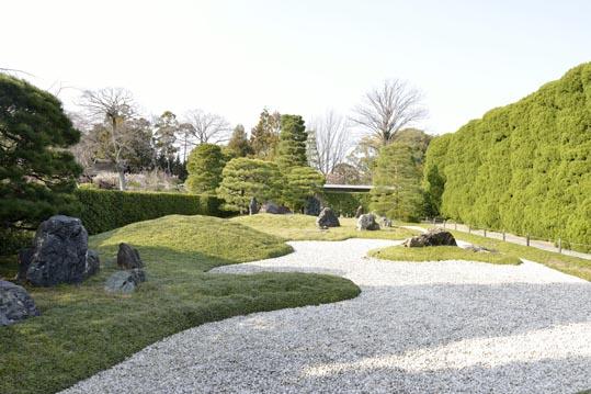 2014jyounanguusidareume226